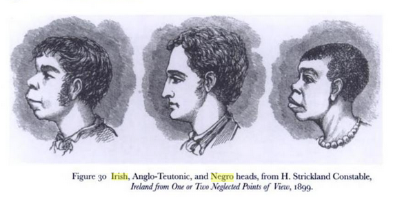 There Were No Irish Slaves — Heres How Bad History Became A Racist 