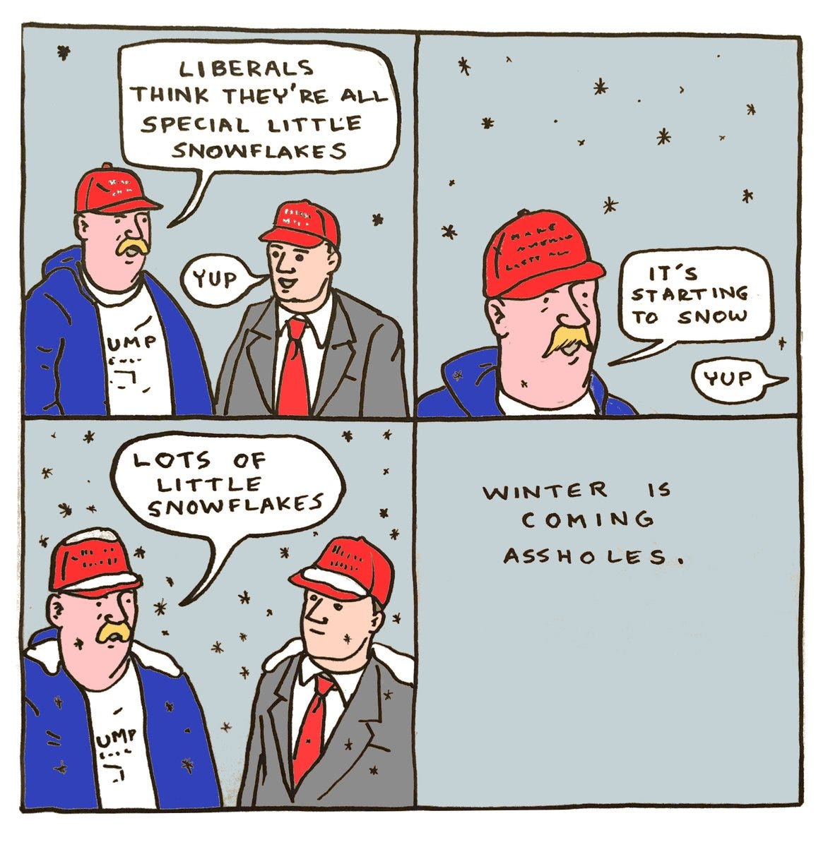 Diary of a Liberal Snowflake.