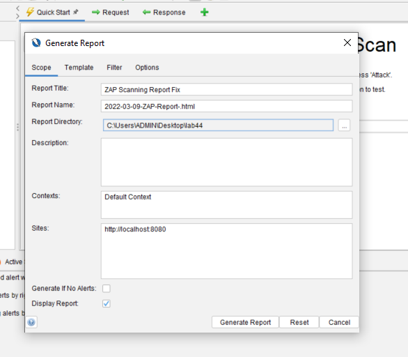 Utilization of OWASP Tools to protect against XSS vulnerabilities by