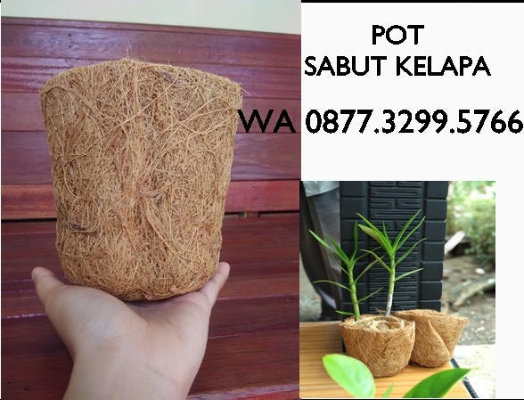 TERLARIS 0877 3299 5766 Pot  bunga  sabut kelapa jual pot  