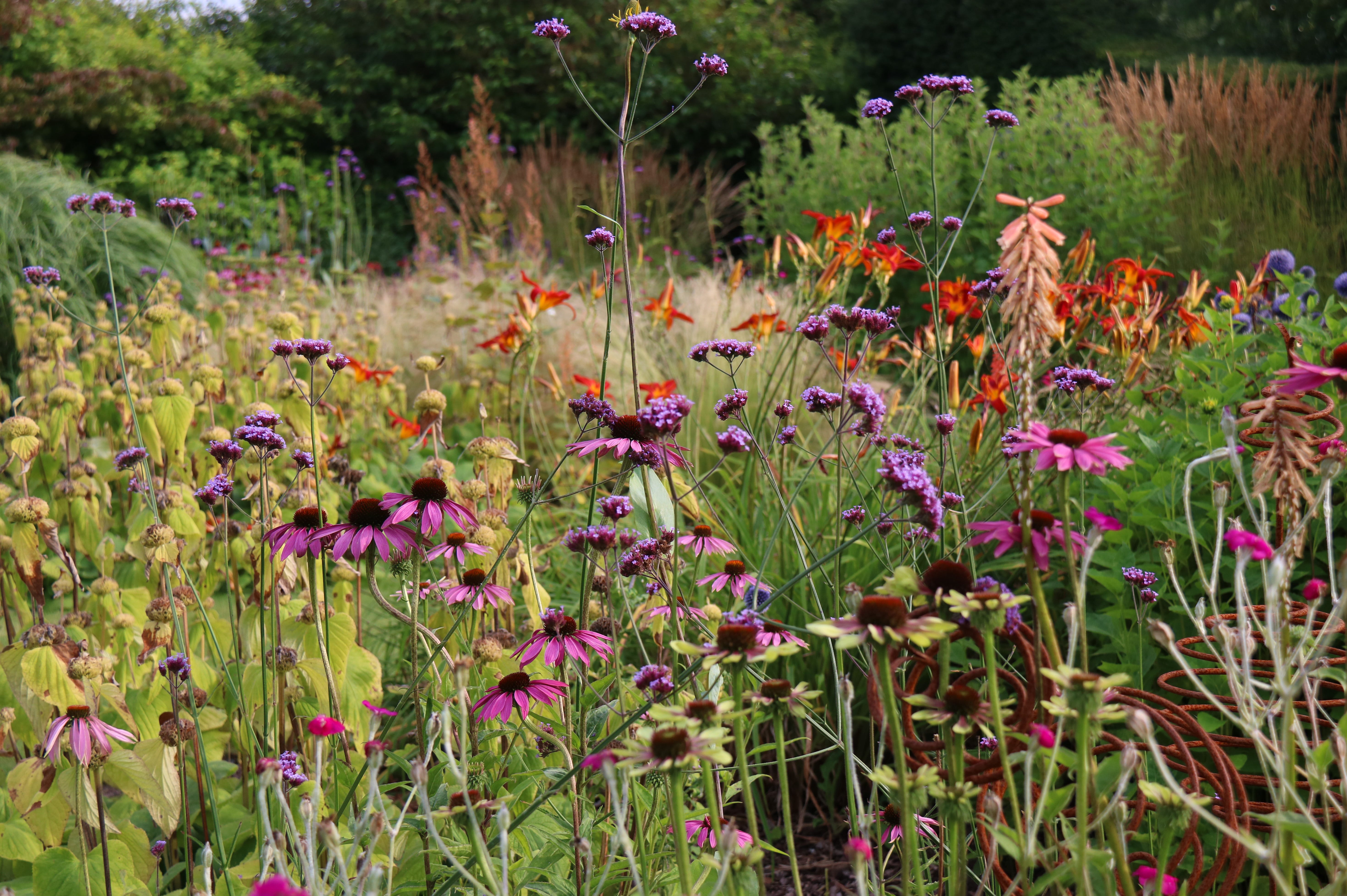 An Evening At Bluebell Cottage Gardens Alison Moore Medium