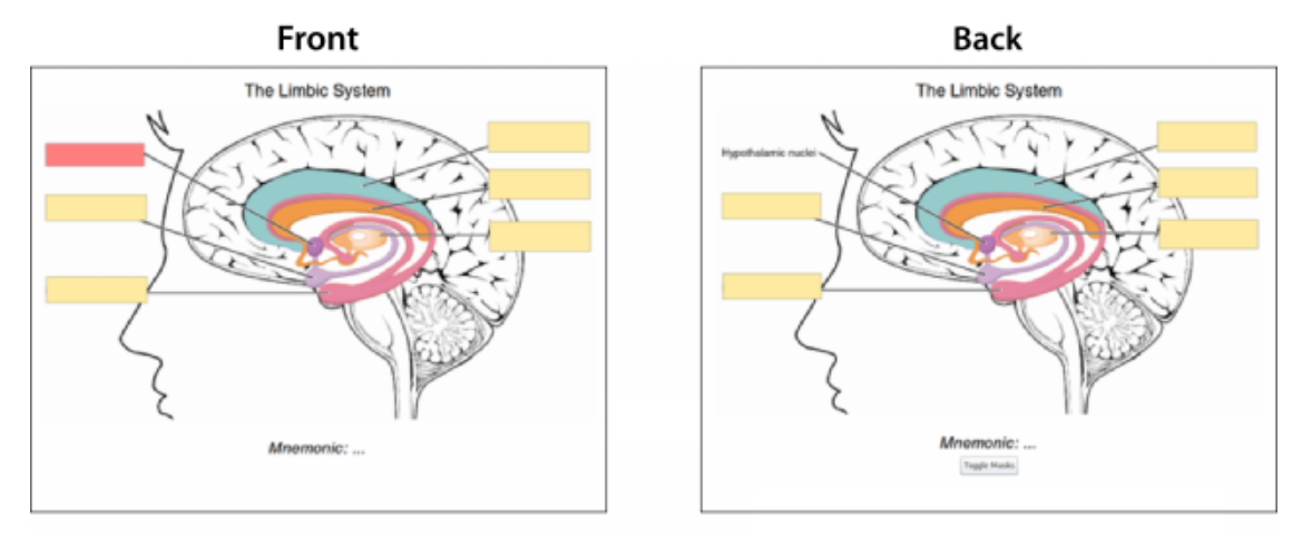 How I Learn in Medical School: Using Anki Effectively | by Linda Nguyen |  Medium