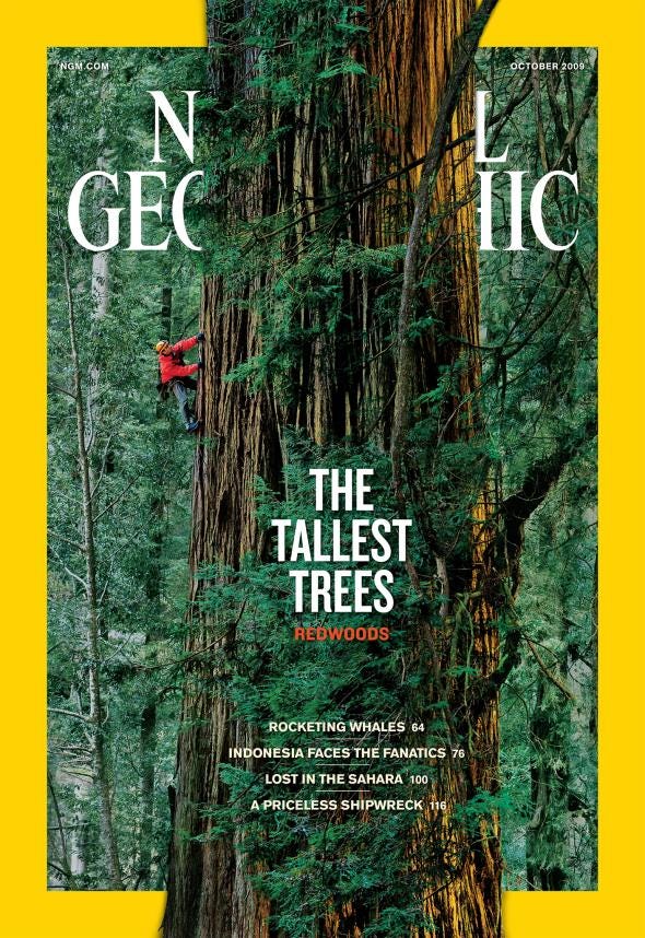 The Most Iconic National Geographic Covers By Marios Kapsis Medium