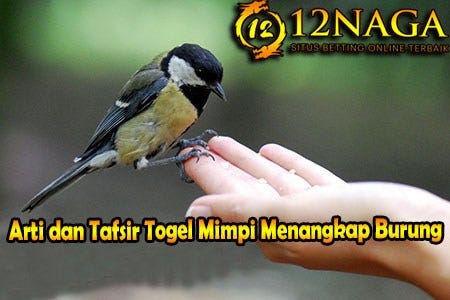 Arti Dan Tafsir Togel Mimpi Burung Hantu By 12naga Agen Judi Online Terpercaya Medium