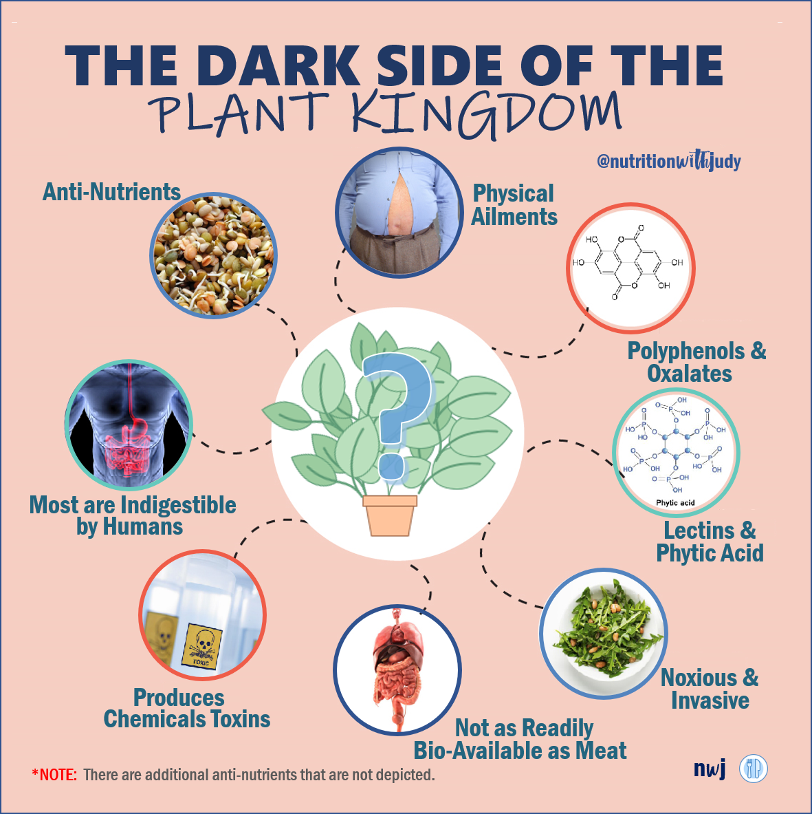 The Dark Side of Plants. Meet the cast of anti-nutrients. | by Nutrition  with Judy | Medium