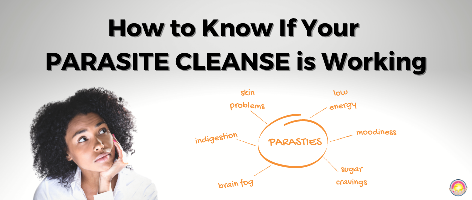 parasite cleanse process