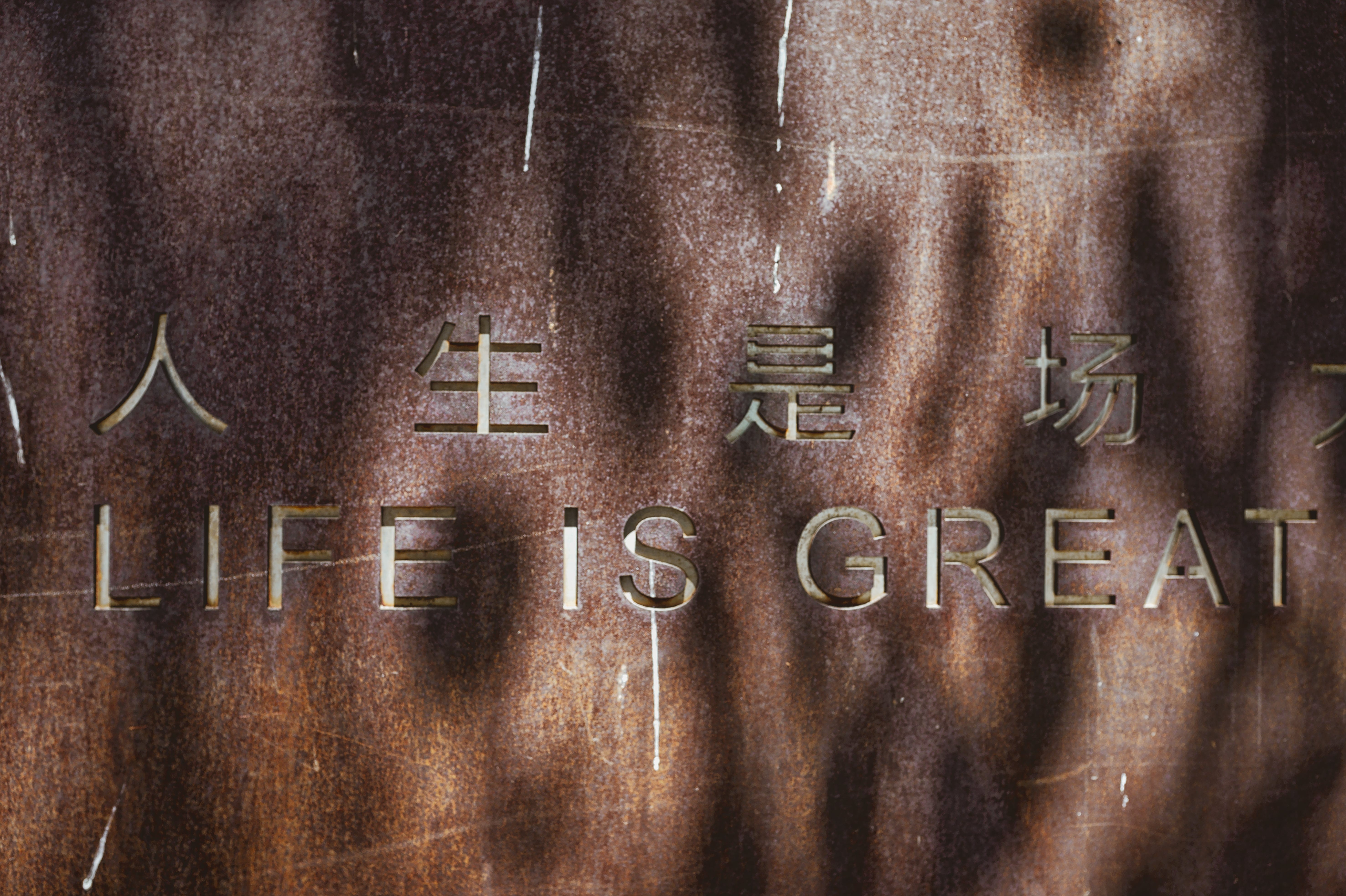 Why You Must Stay In Your Comfort Zone A Few Words Medium