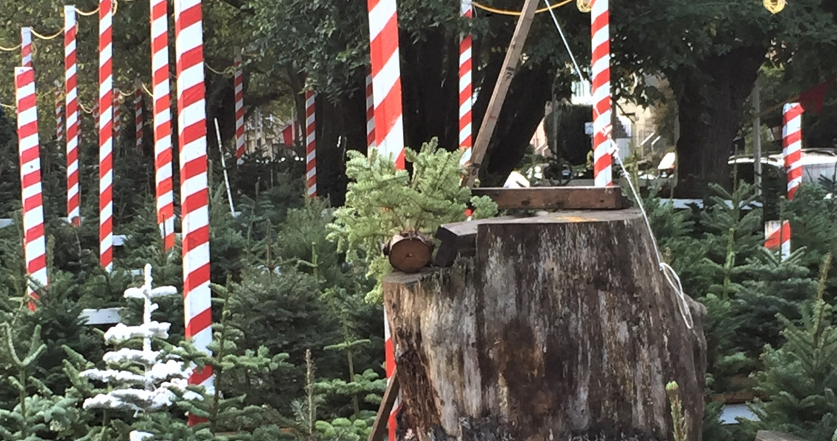 50 Stunning Christmas Tree Ideas 2019 Best Christmas Tree