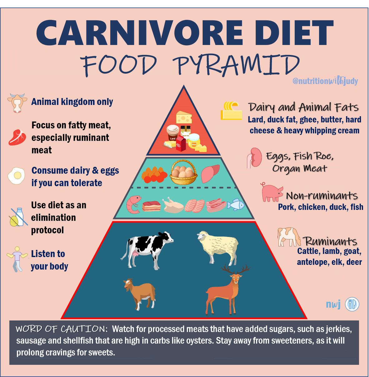 The Nutritionist s Guide To The Carnivore Diet A Beginner s Guide By