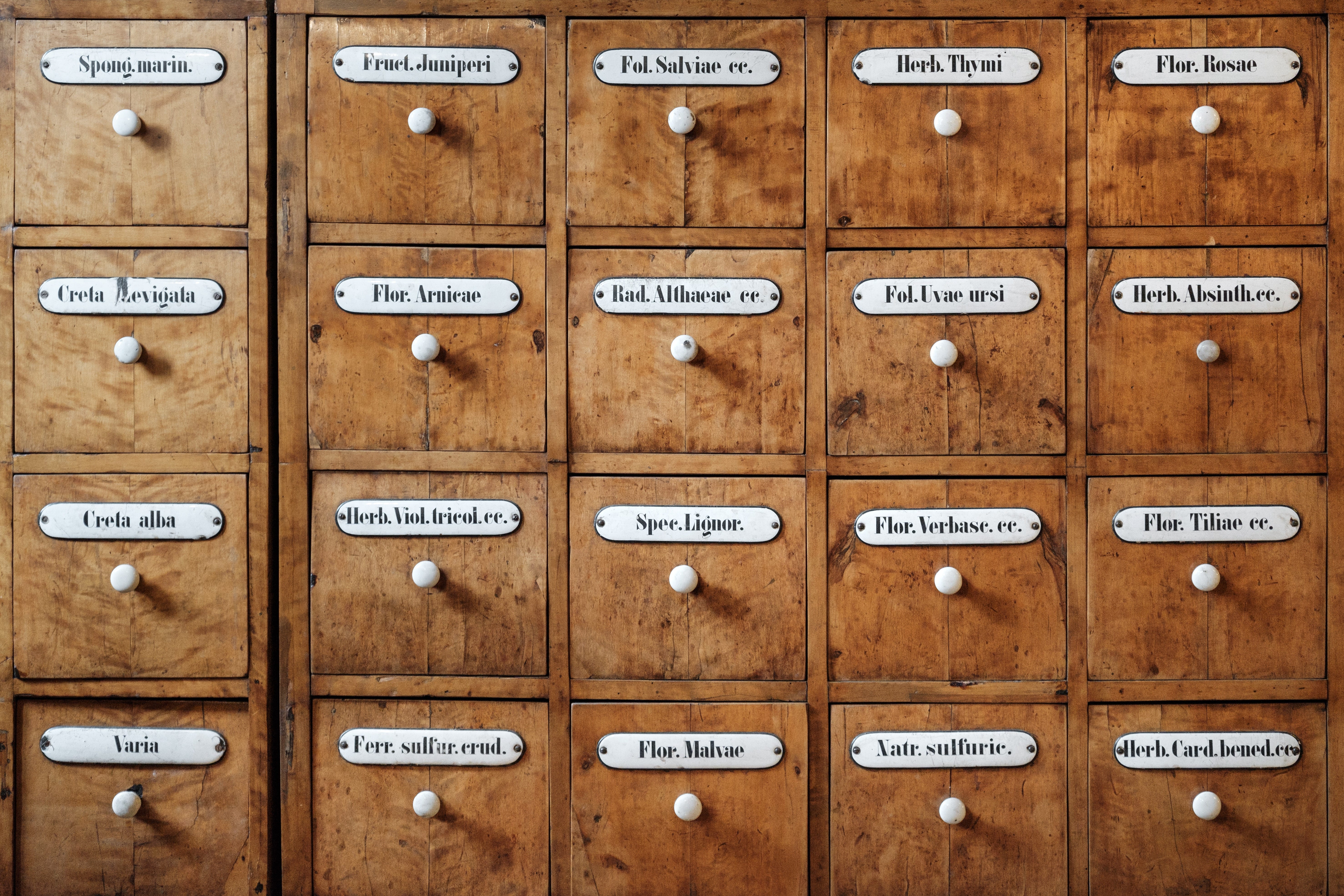 Keeping Your Writing In Order Ways To Organize Your Files