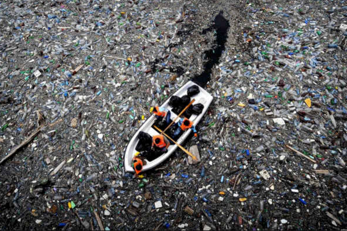The Great Pacific Garbage Patch. A garbage patch means the trash in a