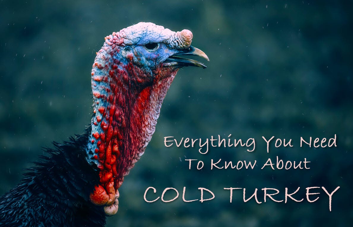 Everything You Need To Know About Cold Turkey By Melanie Rockett Freelance Writing Zone Medium