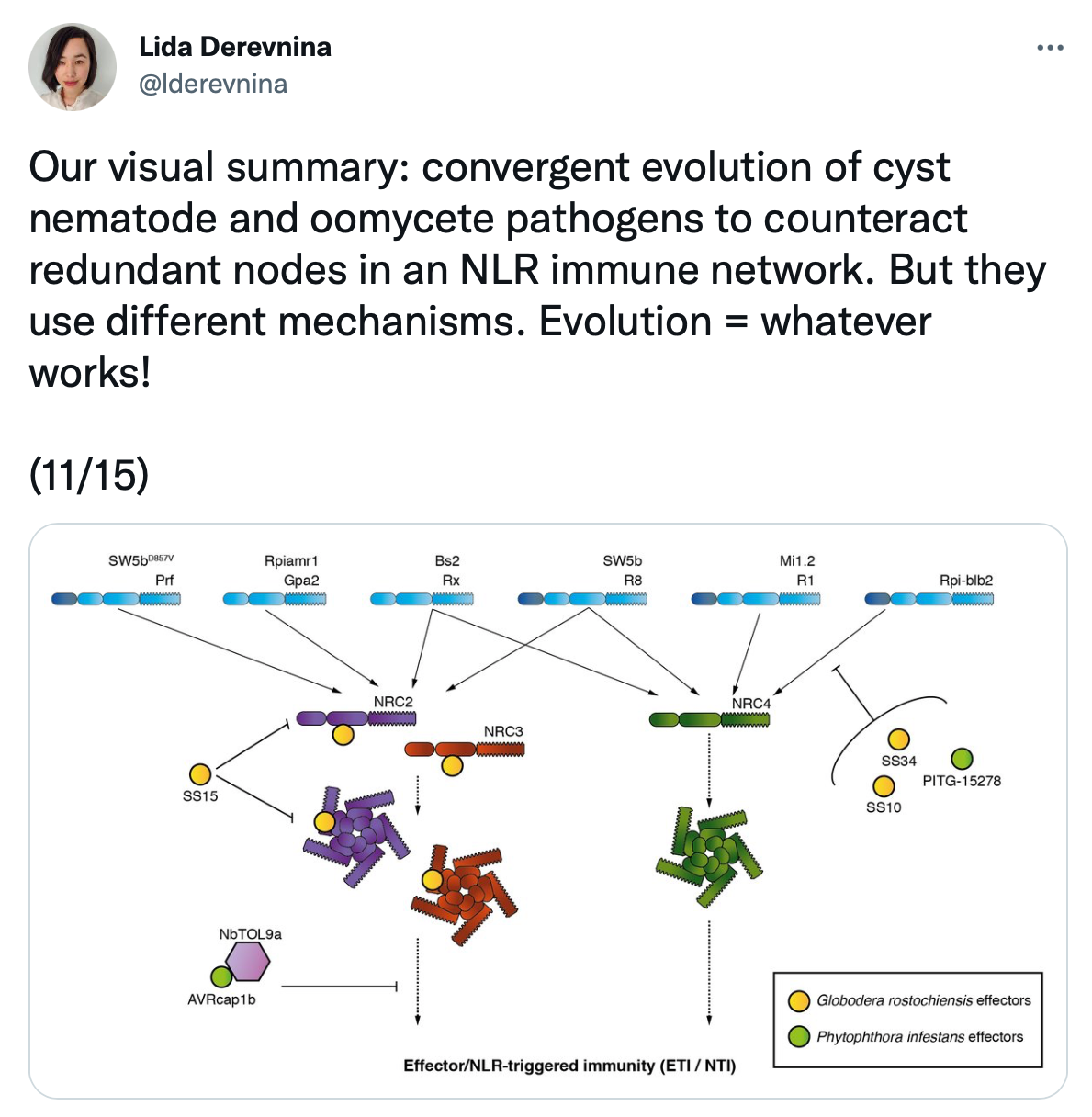 Tips for writing academic paper threads by KamounLab Medium
