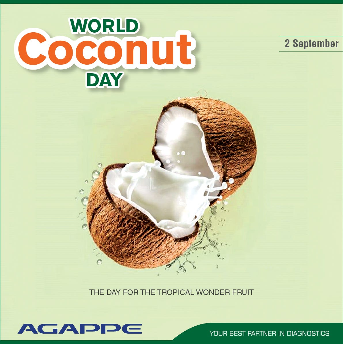 World Coconut Day — The Day For The Tropical Wonder Fruit By