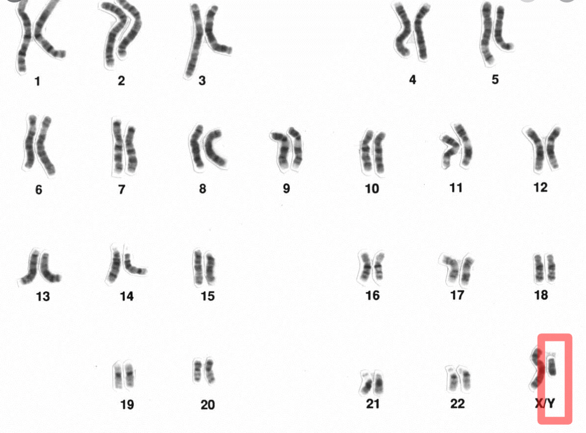 What Eve really was created from? 1*v85rx7WfrDo3eiw0XfbXOA