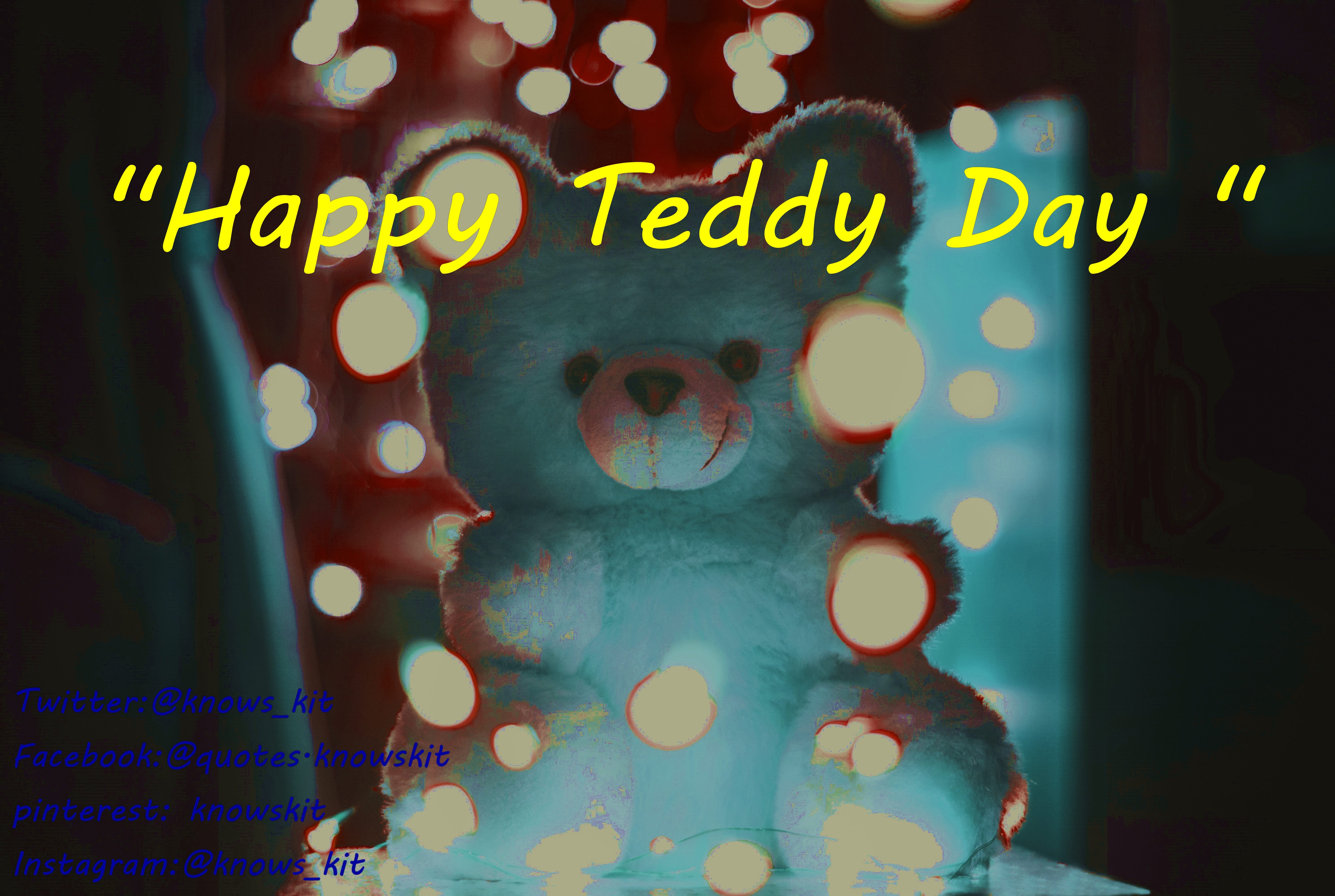 teddy day chocolate day