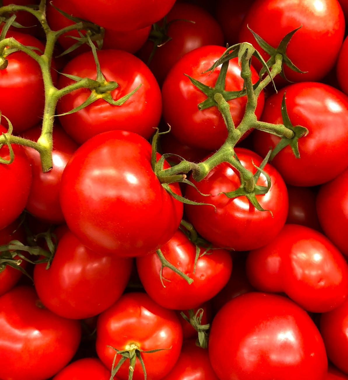 You Say Tomato I Say Tomato Commonly Mispronounced Words By Mike G Medium