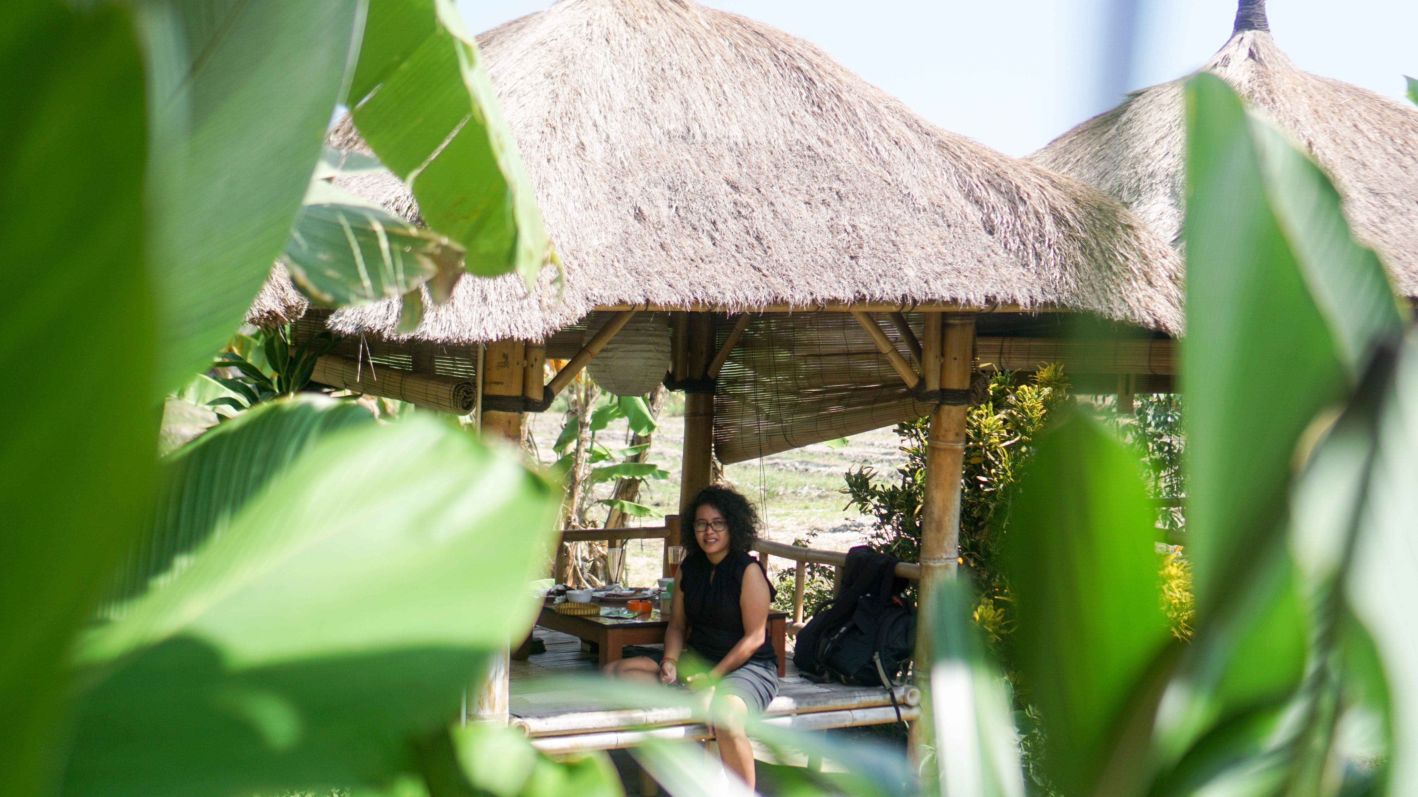 21+ Foto Pemandangan Sawah Di Bali - Rudi Gambar