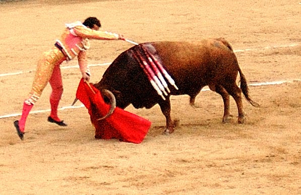 The Ruthless Soliloquy Bullfighting In Contemporary Society By Edd Norval Medium The Ruthless Soliloquy Bullfighting In Contemporary Society By Edd Norval Medium