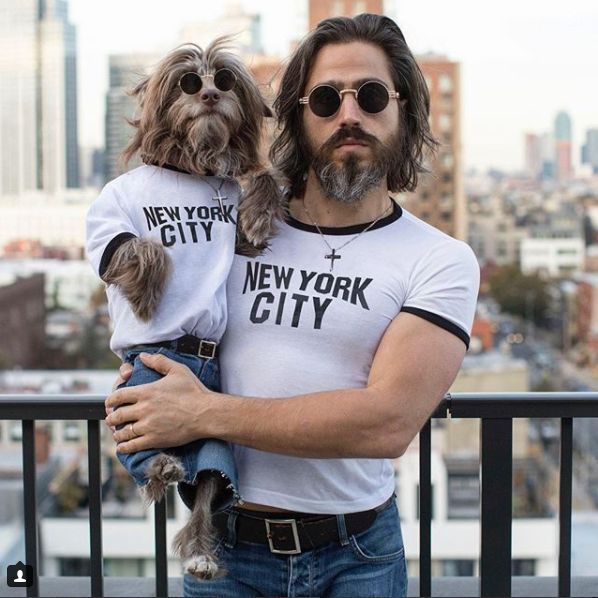 buddy boo waggy tails