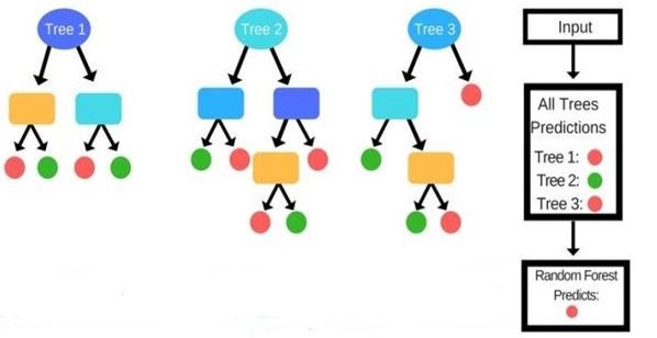 Random Forest with Practical Implementation | by Amir Ali | Wavy AI ...