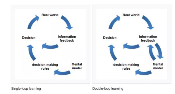 Learning organisation example single loop Argyris Theory