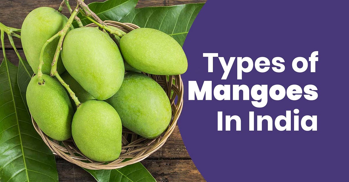 Different Types of Mangoes In India You Should Know About! | by ...
