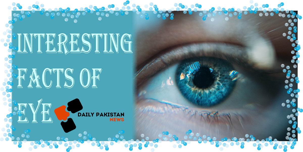 10 Interesting Facts About Eyes That You Never Knew Before by Daily