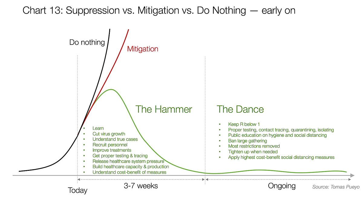 Coronavirus: The Hammer and the Dance
