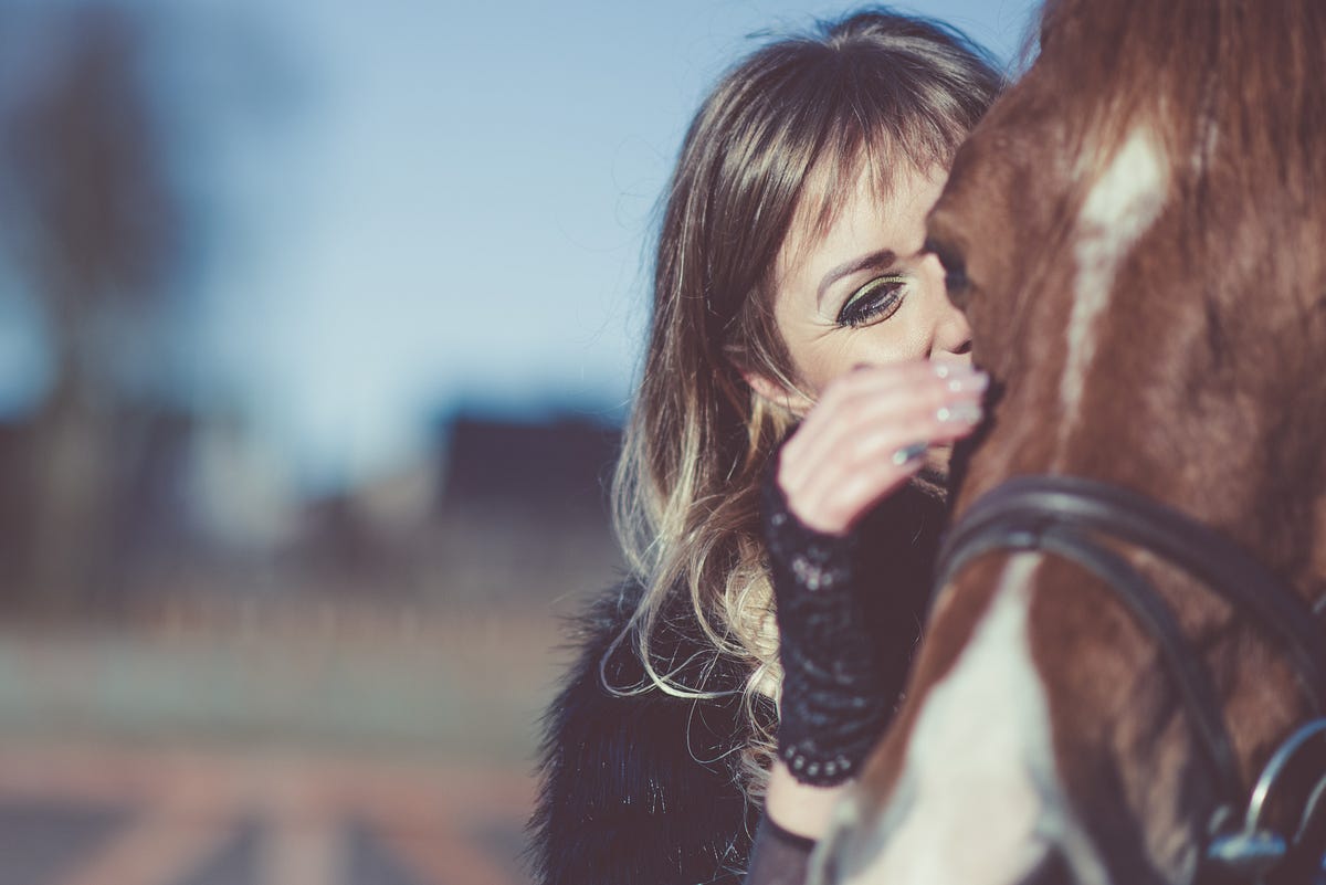Barn Drama: That dreaded gossip.. There is always someone ...
