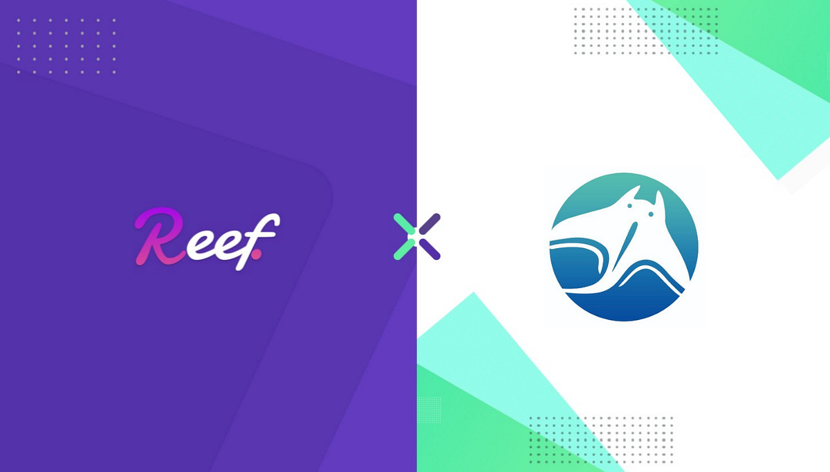 Reef and Manta Partner to Usher in DeFi Mainstream Adoption