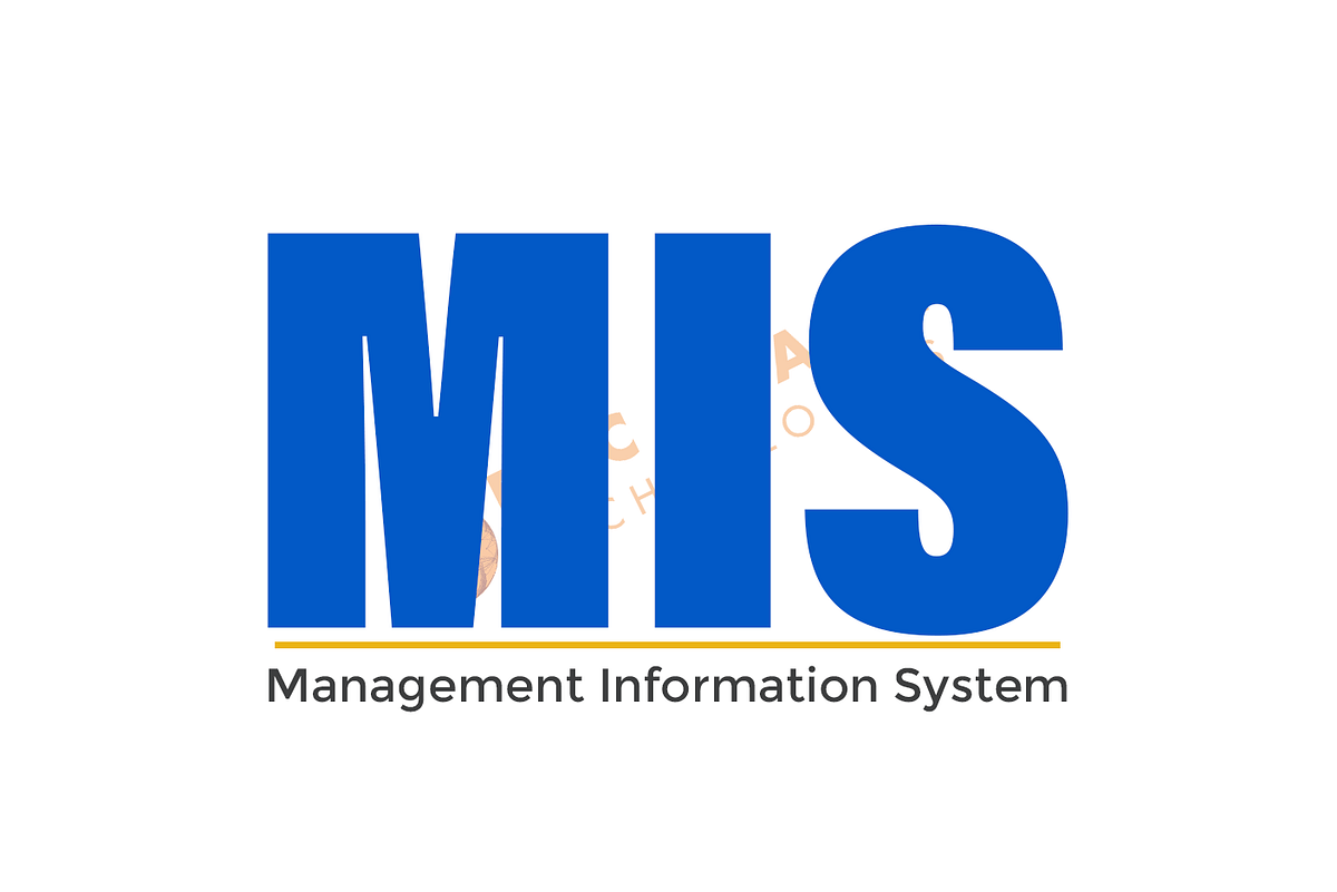 THE BENEFITS OF MANAGEMENT INFORMATION SYSTEM IN ...