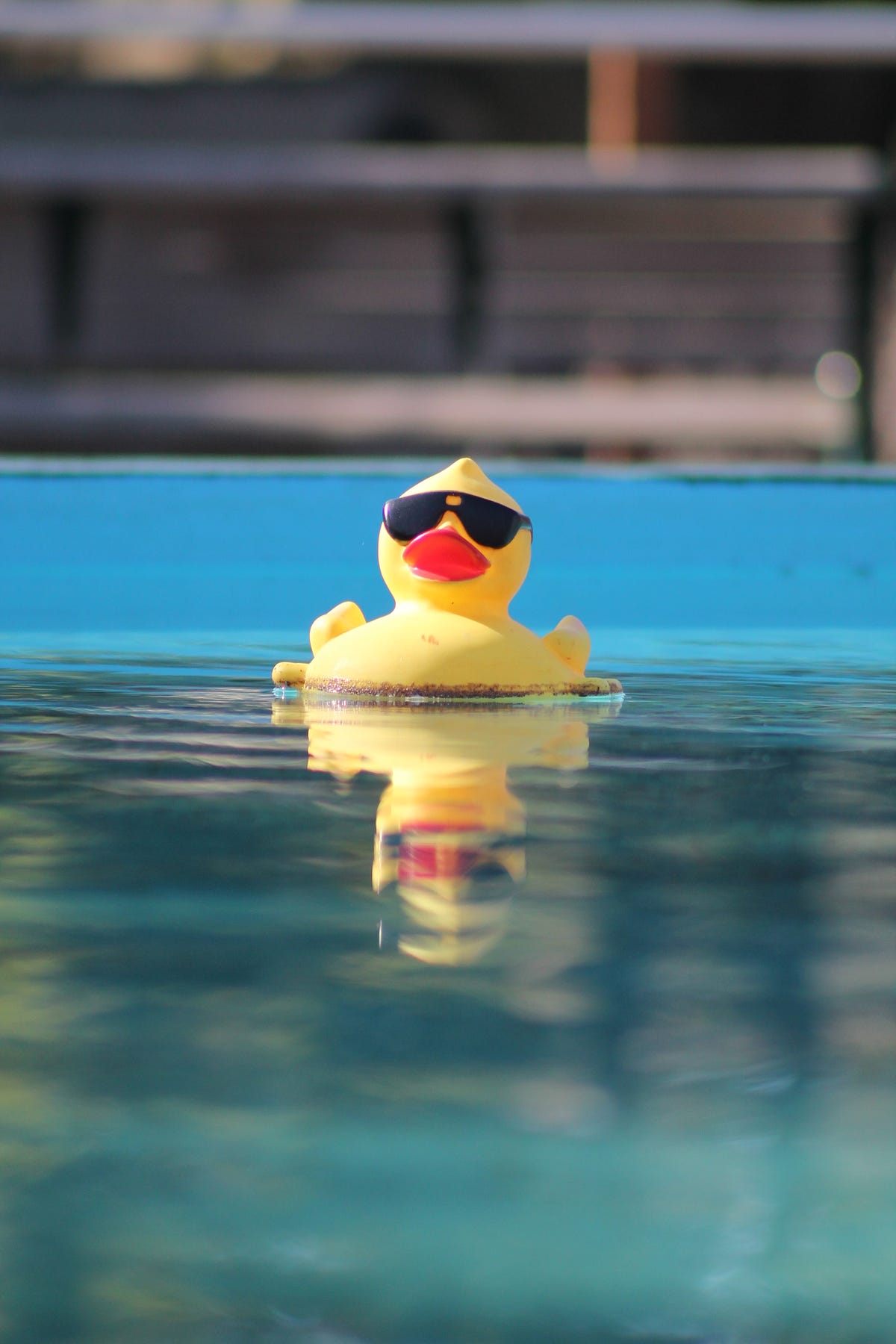 Rubber Duck Debugging. What do rubber ducks and the tech world… by