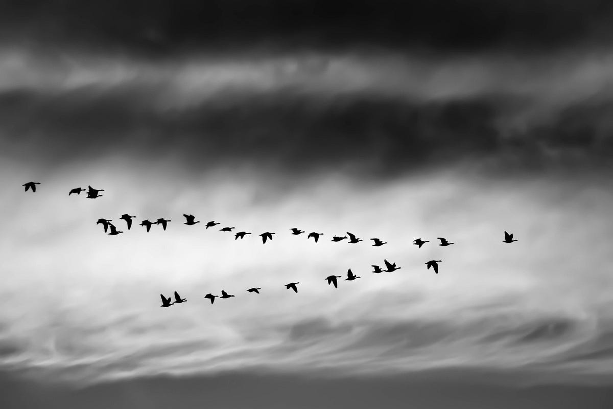 Why you should kill the word let if you want to be a leader by raju 
