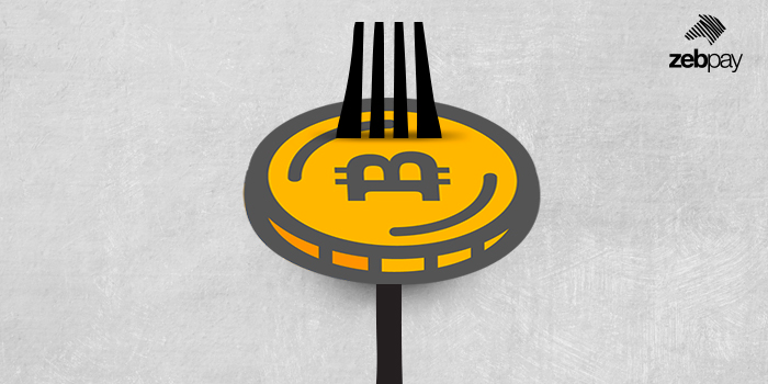 Update On The Bitcoin Gold Fork Zebpay - 