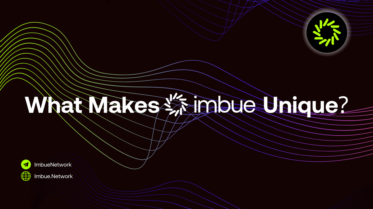 What Makes Imbue So Unique?