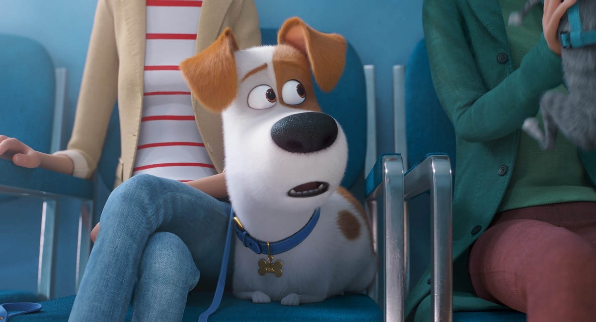 Altadefinizione01guarda Pets 2 2019 Streaming Ita Openload