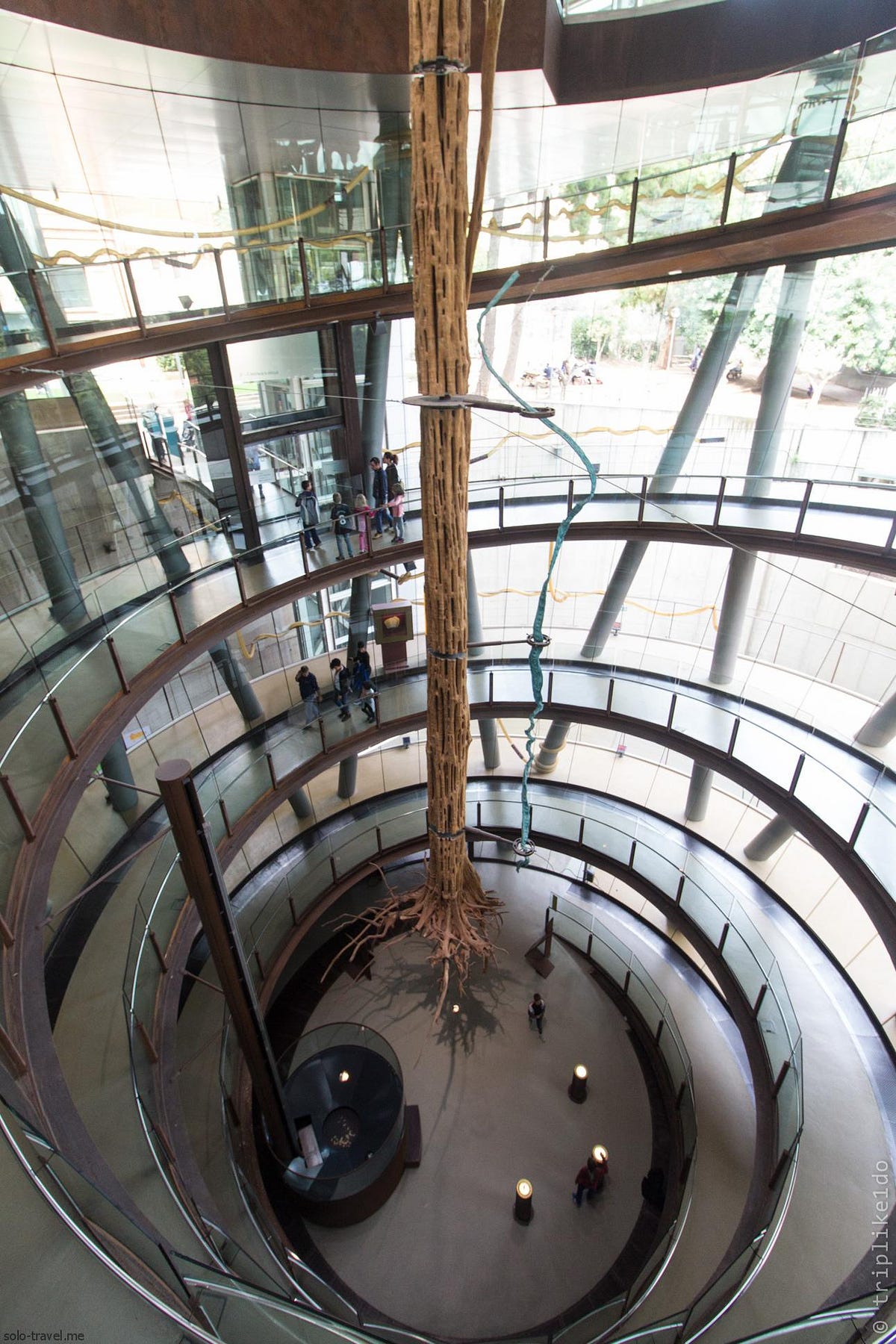 Музей cosmocaixa