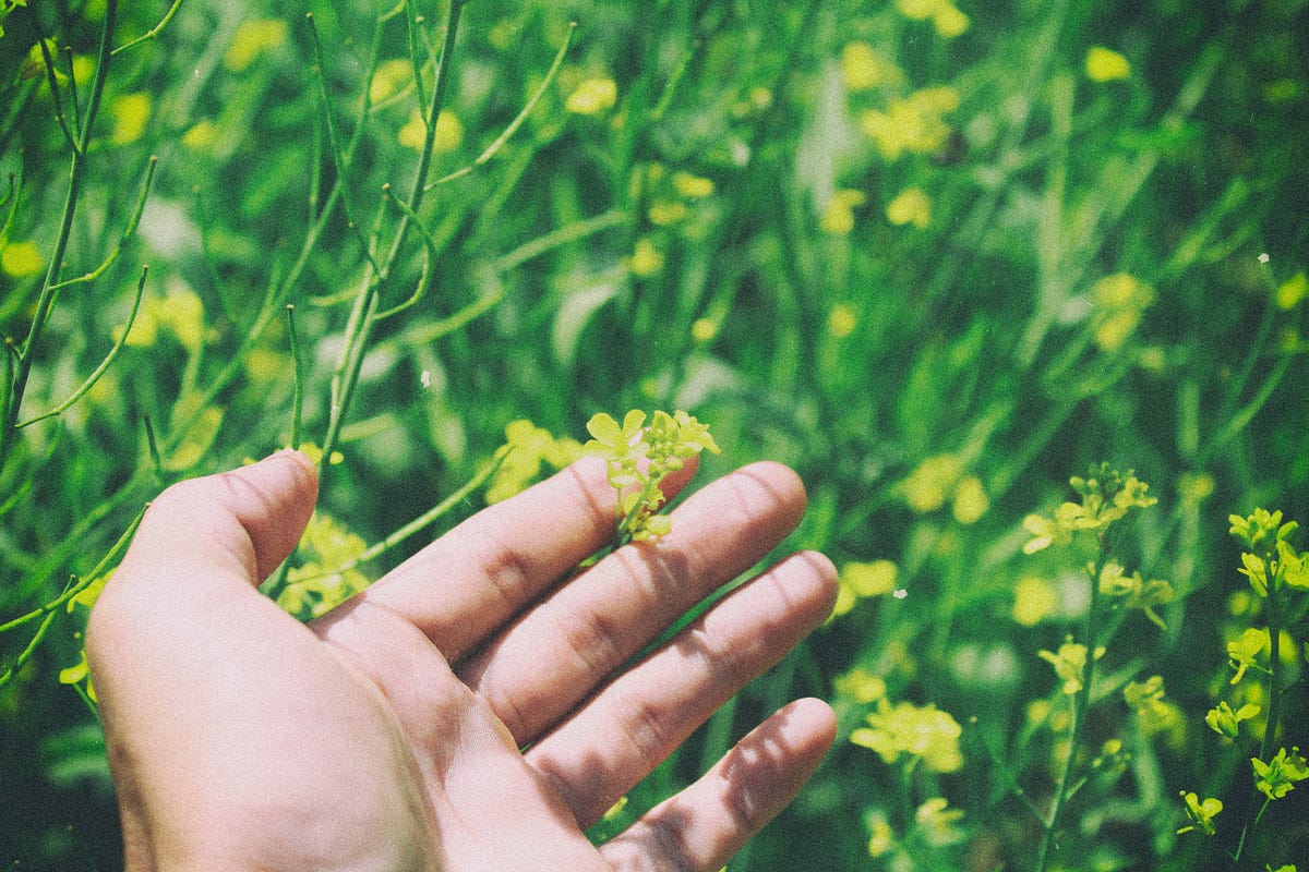 Why You Should Get Yourself Off In The Morning By Meaghan Ward The