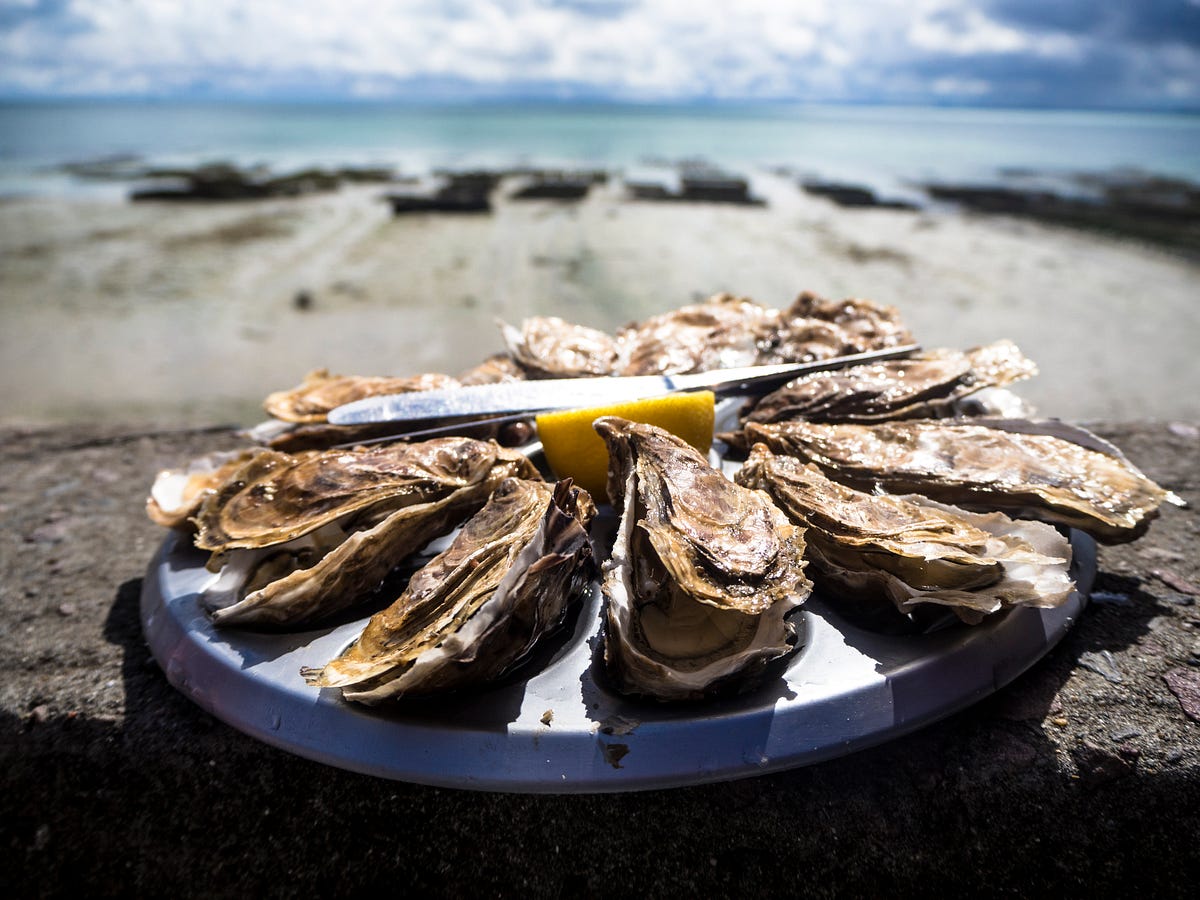 Does Harvesting a Pearl Kill the Oyster? by Sam Westreich, PhD