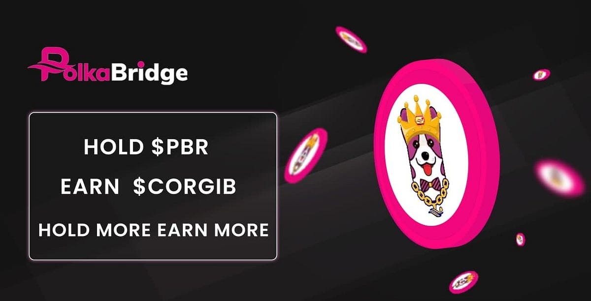 CORGIB Airdrop For PolkaBridge Token Holders