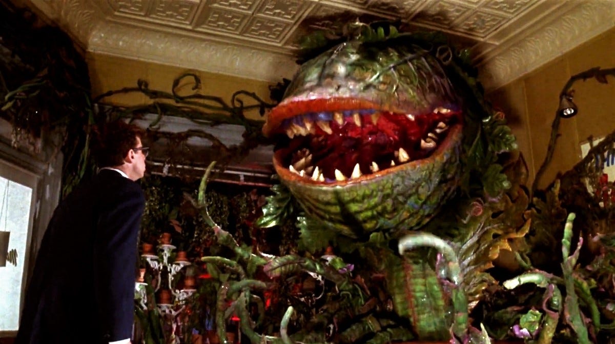 Movie Review: Little Shop of Horrors (1986) | by Patrick J Mullen | As Vast  as Space and as Timeless as Infinity | Medium
