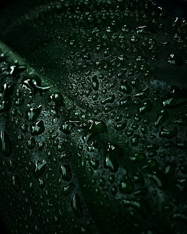raw-image
