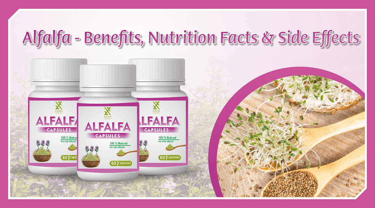 Alfalfa — Benefits, Nutrition Facts & Side Effects by Xovakpharma