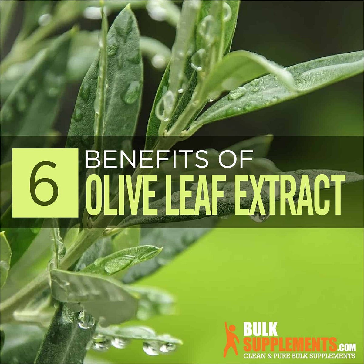 Olive Leaf Extract Benefits, Side Effects & Dosage by James