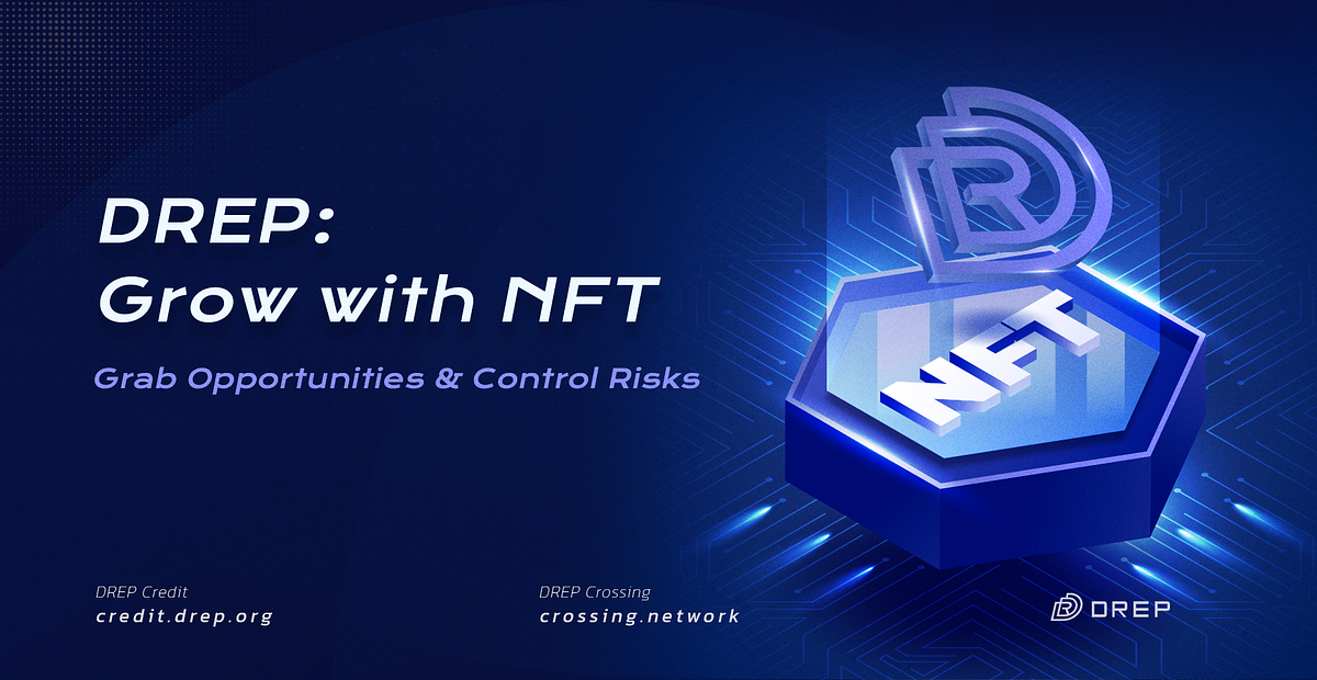 Drep Grow With Nft Grab Opportunities Control Risks By Drep Foundation Medium