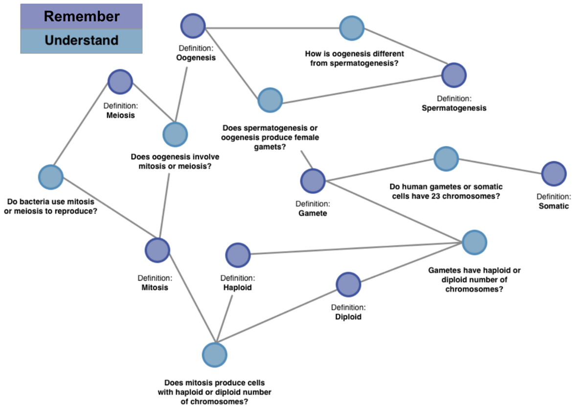 How Quizlet Creates Trickier Questions by Tingting Lin Tech