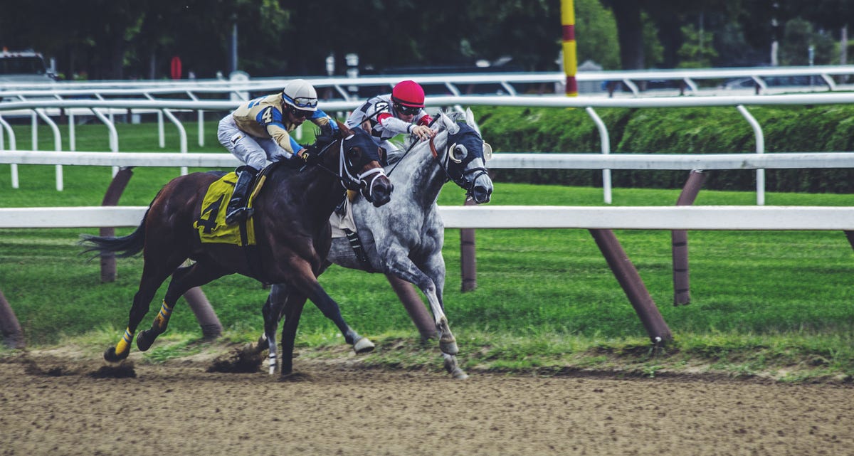 Search (Pt 2) — Semantic Horse Race