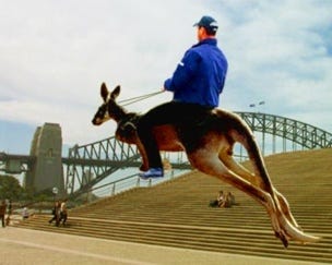we ride kangaroo
