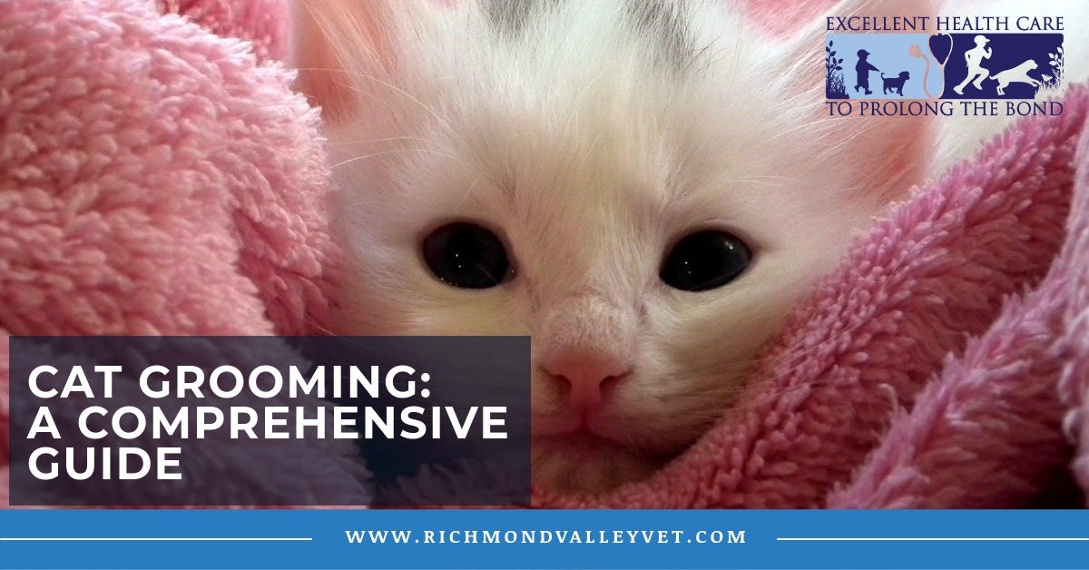 cat grooming post